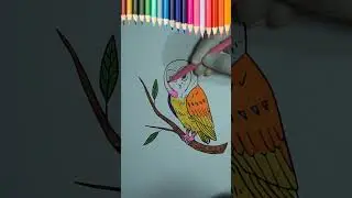 Best Owl Color Filling Drawing  Painting and Coloring for Kids #breakingnews #amazing #chatgpt