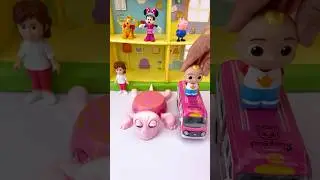 ASMR Cocomelon & Turtle | Relaxing Toy Unboxing