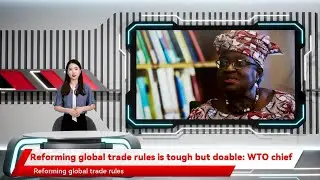 Reforming global trade rules is tough but doable: WTO chief