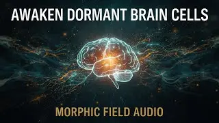Awaken Dormant Neural Stem Cells: Morphic Field for Brain Regeneration & Neurogenesis