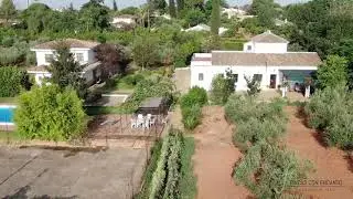Olivar de recreo a 15 minutos de Sevilla