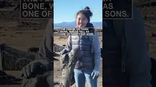 Incredible discovery on an Alaska beach following a powerful storm