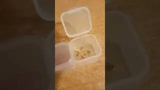 Бесир❤✌