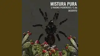 C. da Deserto