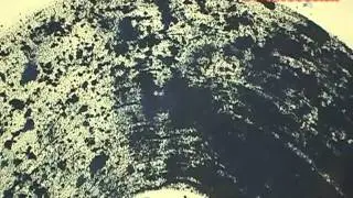 20101008 向大師致敬系列「大炁之境--蕭勤75回顧展」