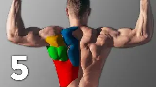 5 Exercícios para COSTAS LARGAS que todo HOMEM deveria estar fazendo (O terceiro é PERIGOSO)