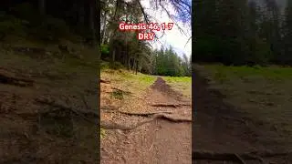 Genesis 46, 1-7, DRV, Scripture With Nature #shorts