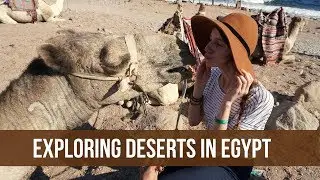 One Day Desert Trip in EGYPT (WYF 2019) - Globe in the Hat #2