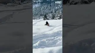 Horse gallops through extreme snow