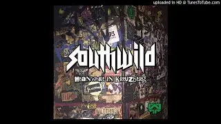 Southwild & Chris Rich - On The Fly