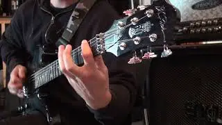 Destabilizer - Terrorist (Guitar Playthrough)