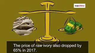 China&rsquo;s ivory trade ban takes effect