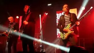 4  ROCK THE GARDENS / KINGS OF THE STONE AGE  /  WHAT EVER YOU DO