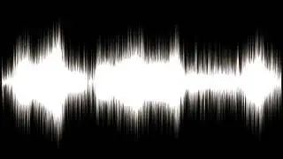 PLASTIC ZIPPER SHORT | SOUND EFFECT