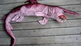 Top 5 Oldest Animal Species On Earth
