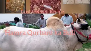Eid ul Adha Mubarak||Hmra qurbni ka bull#Keliji+Gosht Recipe||Subscribe