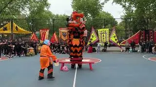 New York Choy Lay Fut Lion Dance Bench Performance @ The 6th Annual Dragon and Lion Day