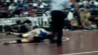 Career  ender