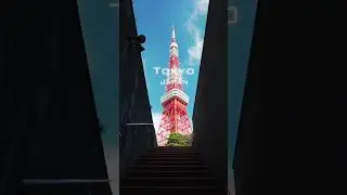 Tokyo - Japan! #japantravel #tokyoadventures #japan #tokyo