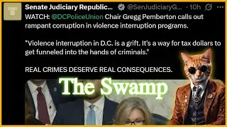 Senate Hearing on Rampant Crime in Democrat Cities