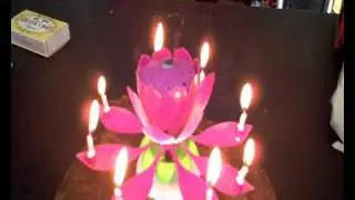 Musical Birthday Sparkling Fountain