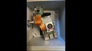 Use AI to trigger video on Raspberry Pi Camera Module 3 #raspberrypi #AI #naturecam #squirrel