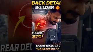 Rear Delt Secret 🔥 | Reverse Pec Deck Fly for Back Detail#backworkout #shorts #gymshorts #gymlife