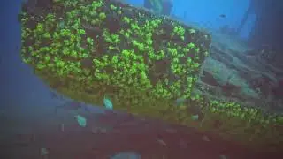 Diving Shipwreck 'Boris', Cape Verde, Santa Maria Diving