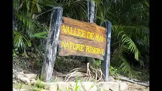 Explore Vallee de Mai Nature Reserve