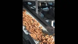 NGB Spiral cooling conveyor