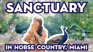 Aguacate the Sanctuary of Love | Healthy Vegan Food & Community Center | Horse Country Miami Florida