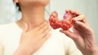 What do you think your thyroid gland does?