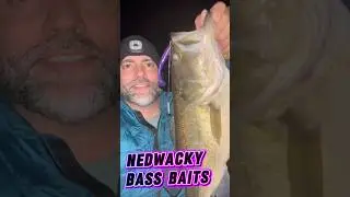 NedWacky Bass Baits put it on em last night! #nedwacky #bassfishing #basslures #fishing #walmart