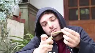 FADED, FADED, LIFTED, DANK