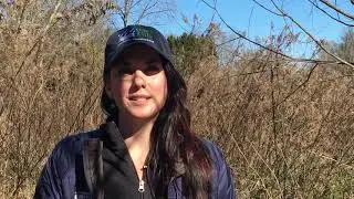 Ecological Recovery After a Project is Completed