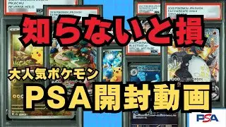 【知らないと損！】大人気ポケモンで稼げるカードを教えます。PSA鑑定開封でエンジョイしながら知識をつけよう。