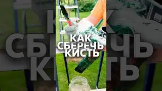 Как сохранить кисть 🖌️ #стройка