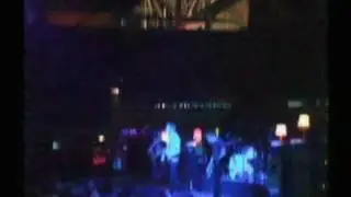 muff potter. - Steady Fremdk&ouml;rper
