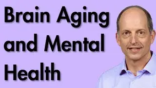 Brain Aging and Mental Health