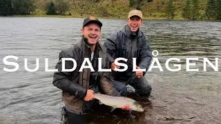 Salmon fishing in Suldalslågen september 2025