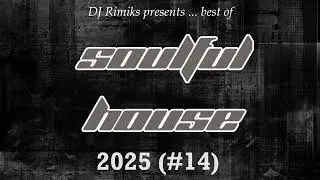 DJ Rimiks - Best of Soulful House 2025 (#14)