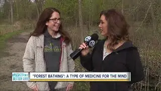 'Forest Bathing': How to commune with nature to rejuvenate your mind, body and spirit
