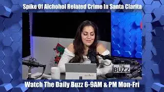 Spike Of Alchohol Related Crime In Santa Clarita  | The Daily Buzz Santa Clarita
