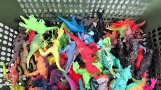 The EASY WAY to Compare Dinosaurs Giganotosaurus vs Brachiosaurus, T-REX, Dilophosaurus, Triceratops
