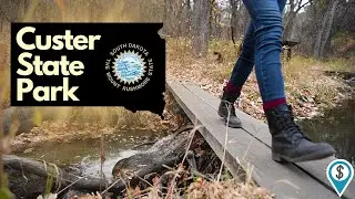 Wildlife and Scenic Drives in Custer State Park, South Dakota