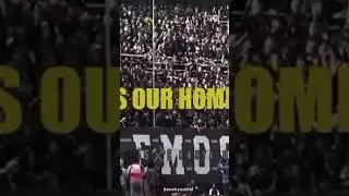 Green Nord Persebaya ⬛🟩