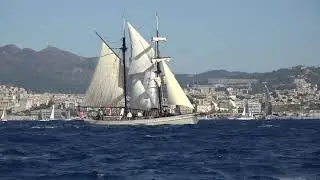 Millevele 2019