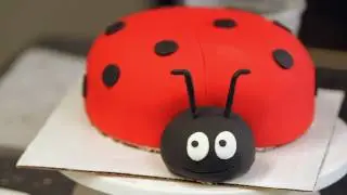 How to Add Eyes to a Ladybug Cake | Birthday Cakes