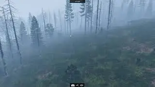 I'm not a zombie, why are you staying up there?