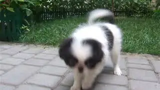 DSCF2504